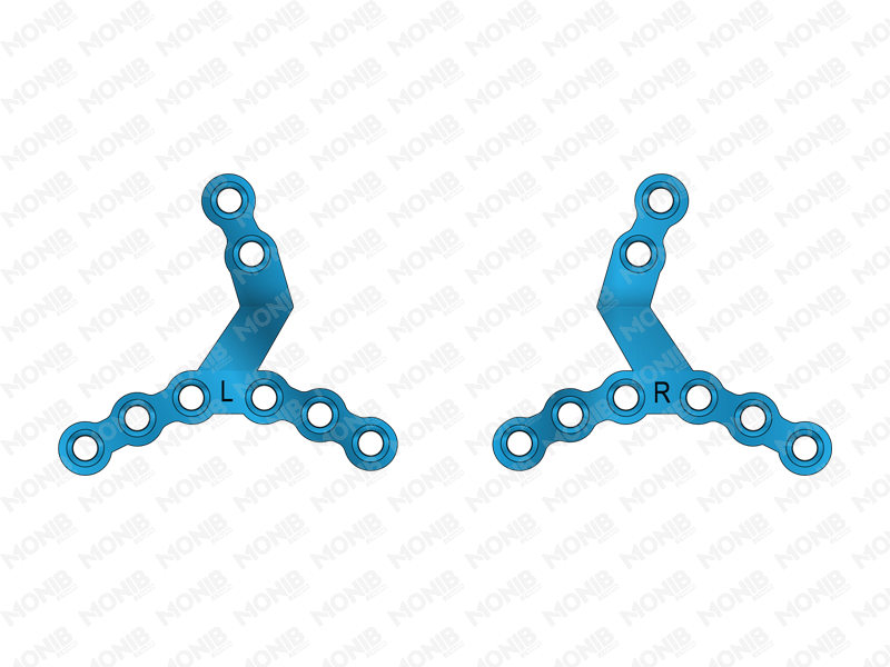 Paulus Chin Plate System