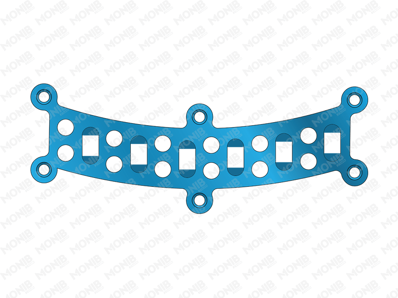 Neuro Gap Plate System